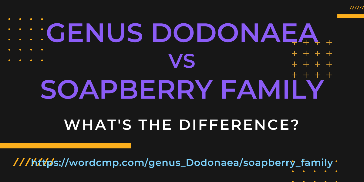 Difference between genus Dodonaea and soapberry family