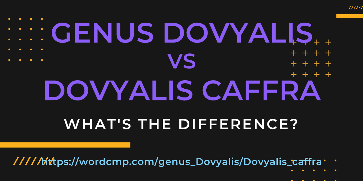 Difference between genus Dovyalis and Dovyalis caffra