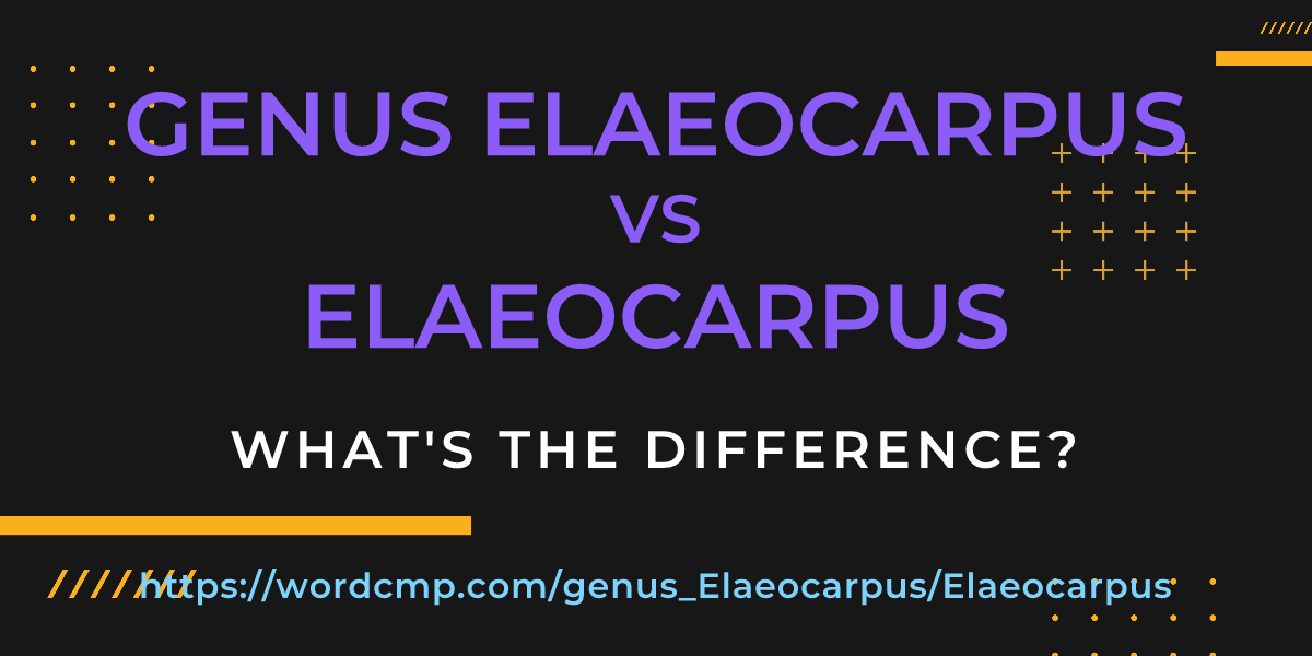 Difference between genus Elaeocarpus and Elaeocarpus