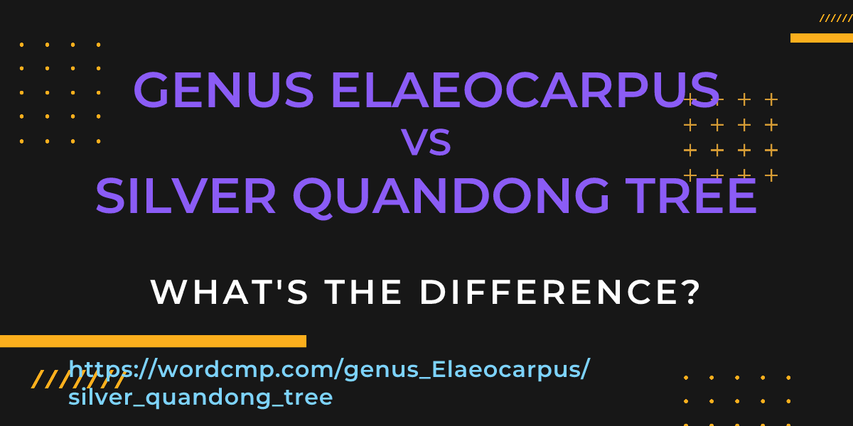 Difference between genus Elaeocarpus and silver quandong tree