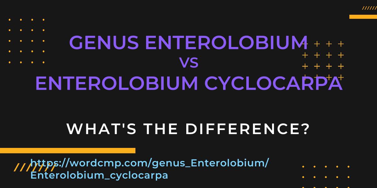 Difference between genus Enterolobium and Enterolobium cyclocarpa