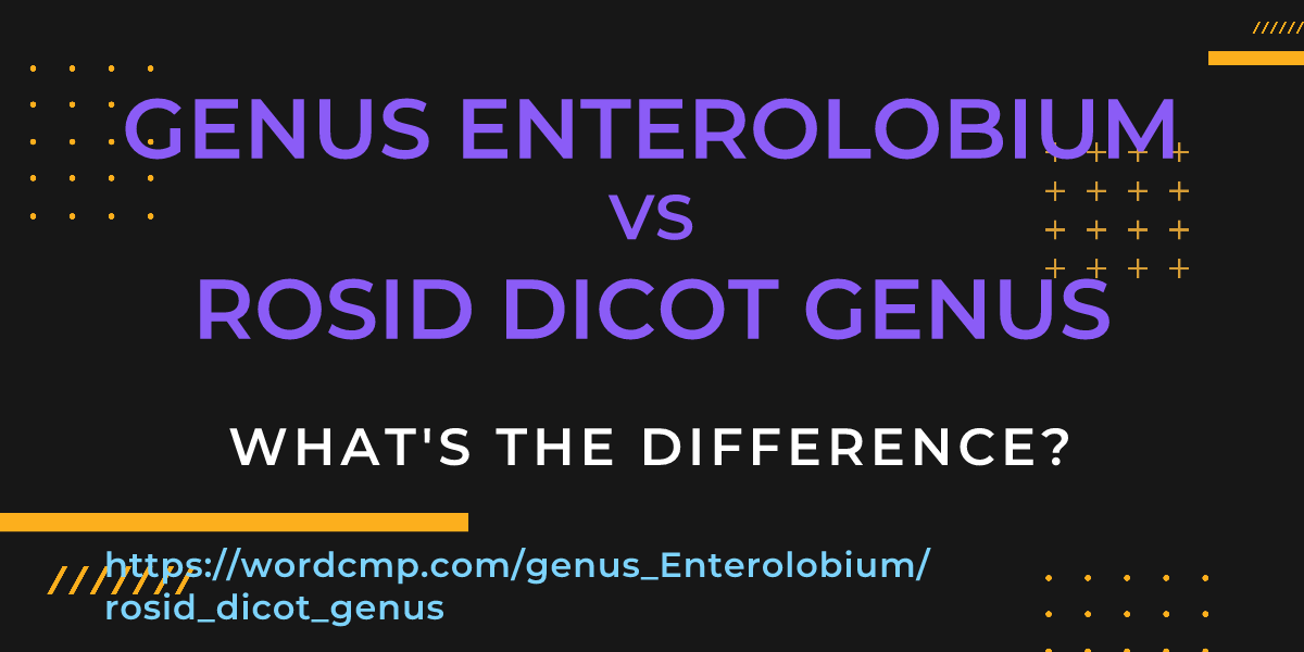 Difference between genus Enterolobium and rosid dicot genus