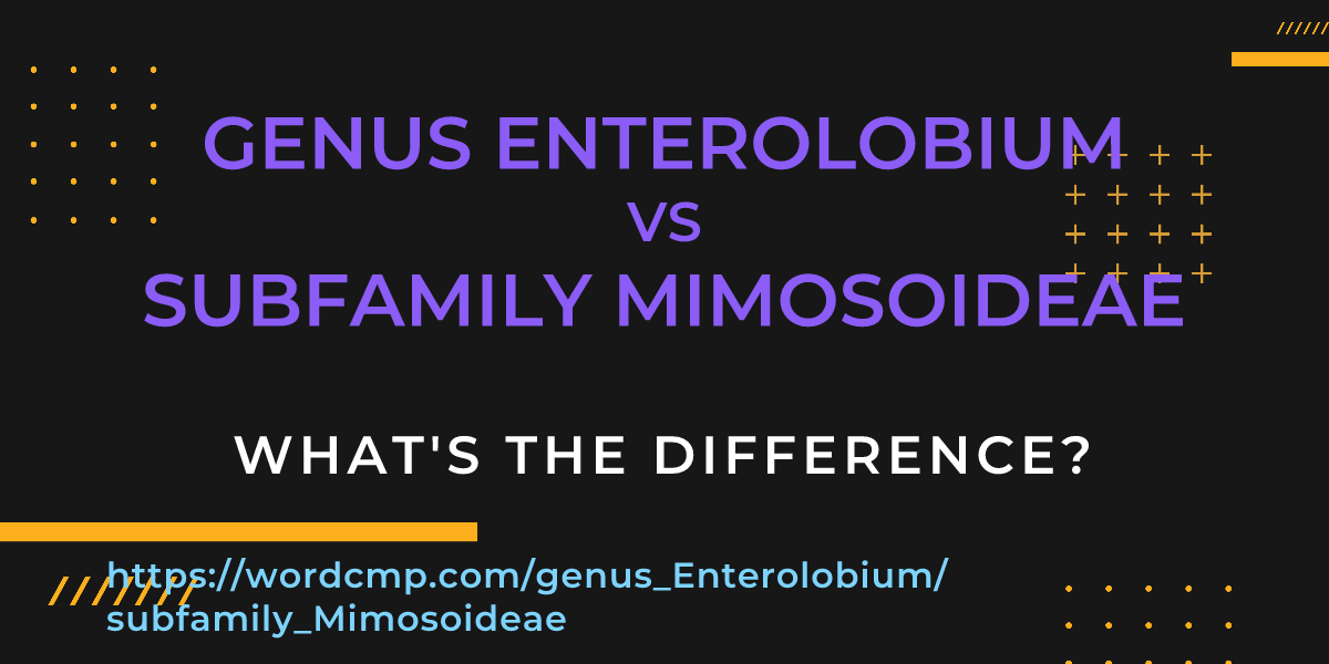Difference between genus Enterolobium and subfamily Mimosoideae
