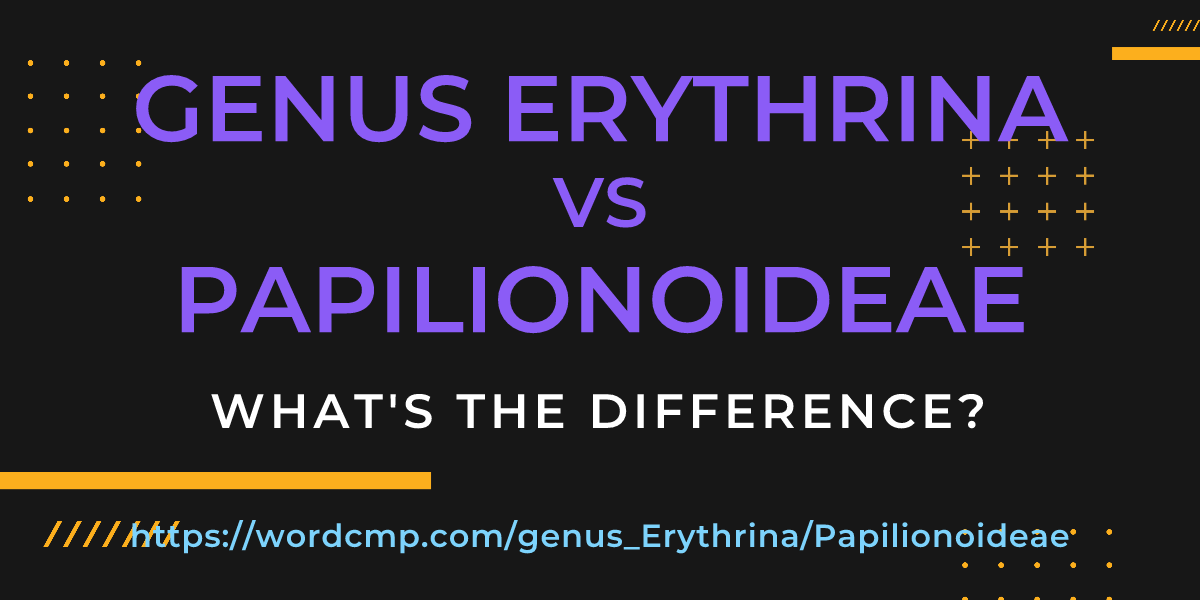 Difference between genus Erythrina and Papilionoideae