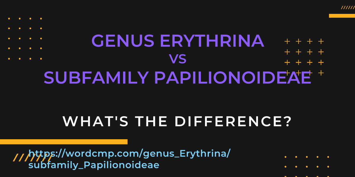 Difference between genus Erythrina and subfamily Papilionoideae