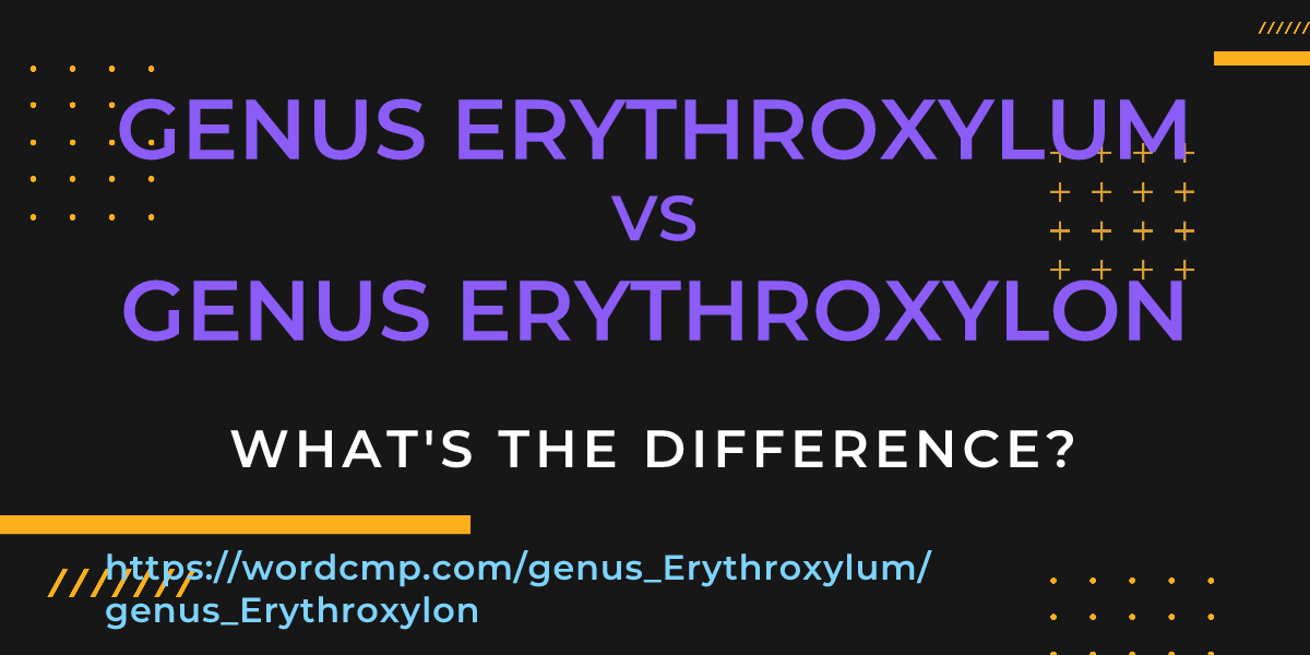 Difference between genus Erythroxylum and genus Erythroxylon
