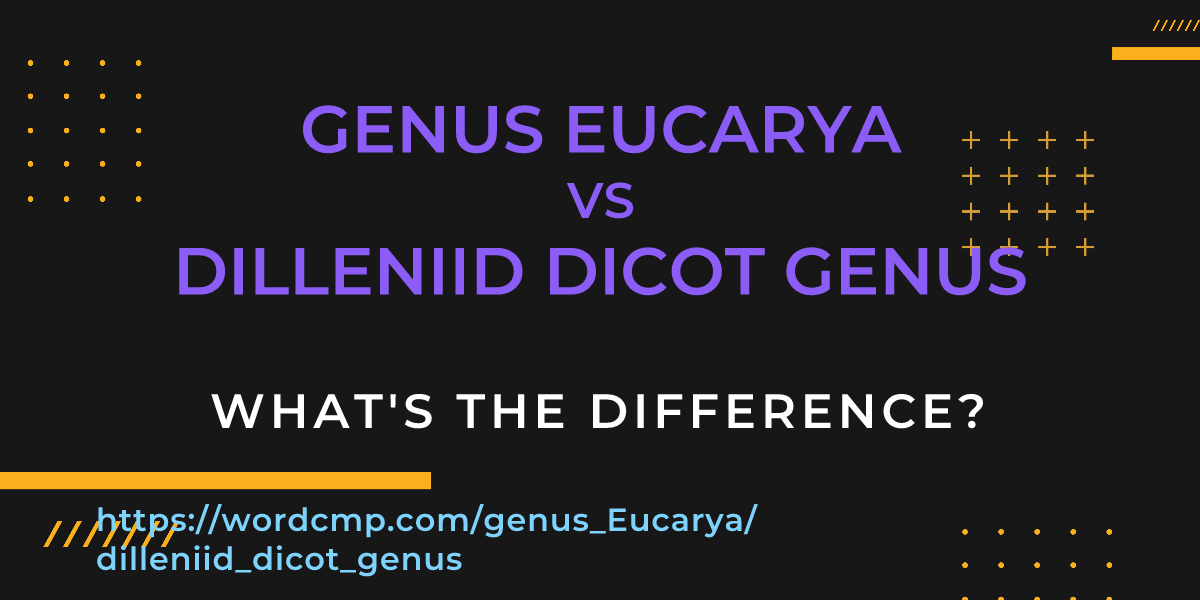 Difference between genus Eucarya and dilleniid dicot genus