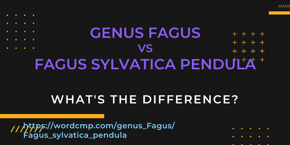 Difference between genus Fagus and Fagus sylvatica pendula
