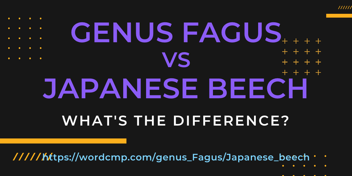Difference between genus Fagus and Japanese beech