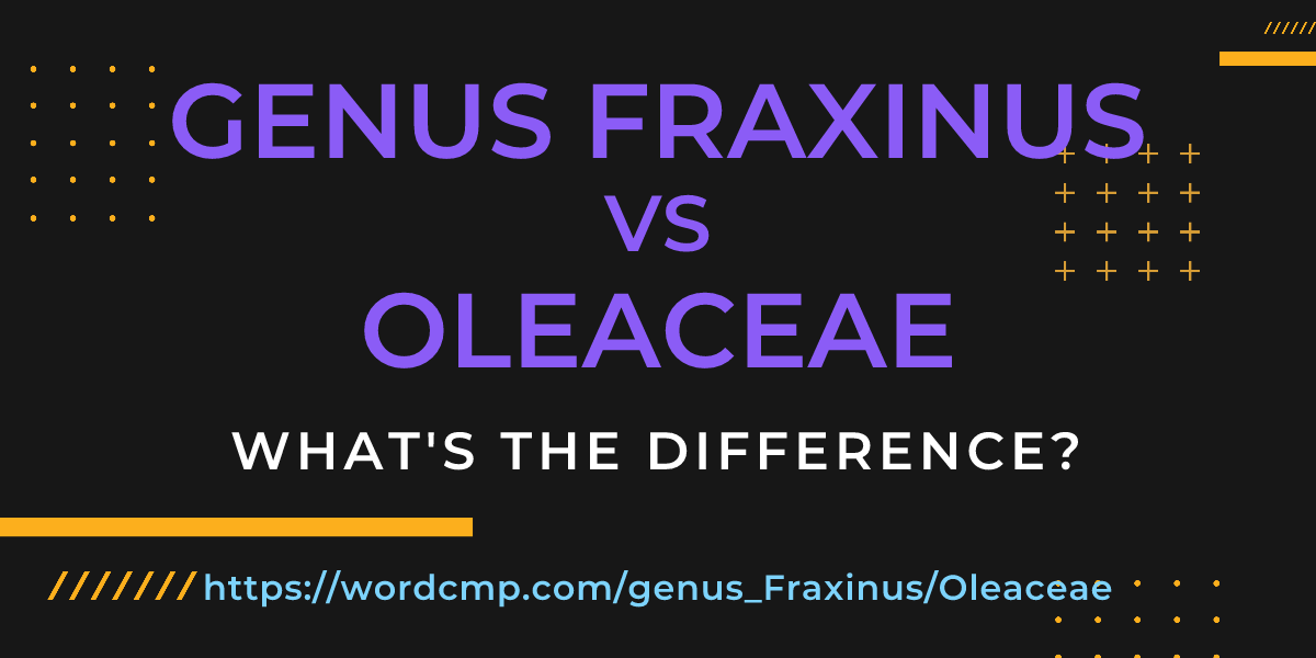 Difference between genus Fraxinus and Oleaceae