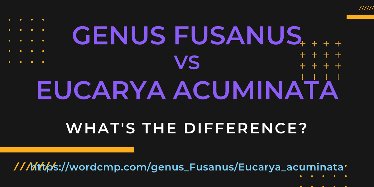 Difference between genus Fusanus and Eucarya acuminata