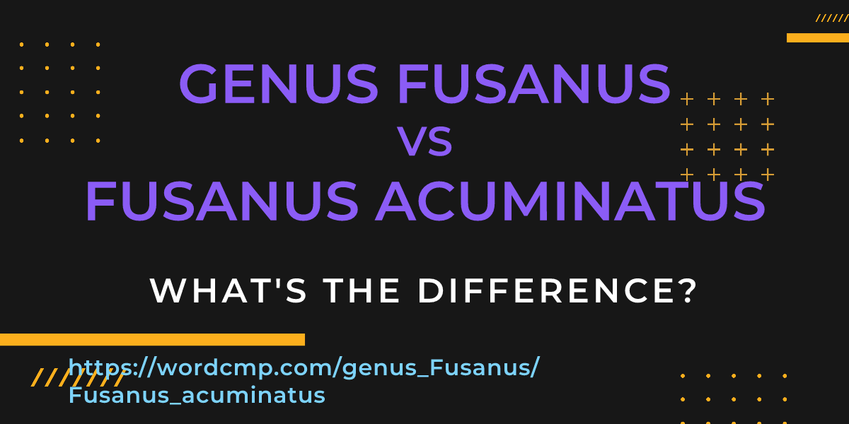Difference between genus Fusanus and Fusanus acuminatus