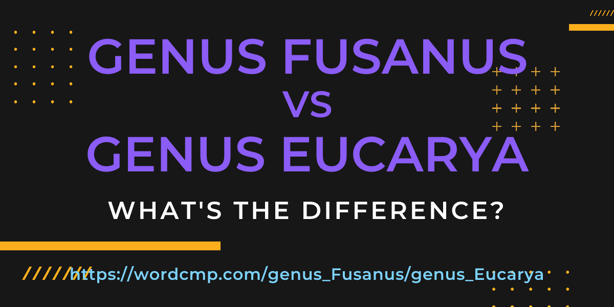 Difference between genus Fusanus and genus Eucarya