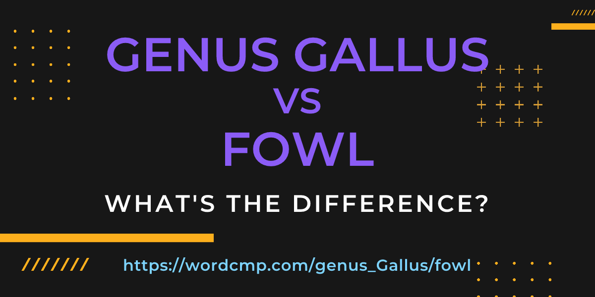 Difference between genus Gallus and fowl