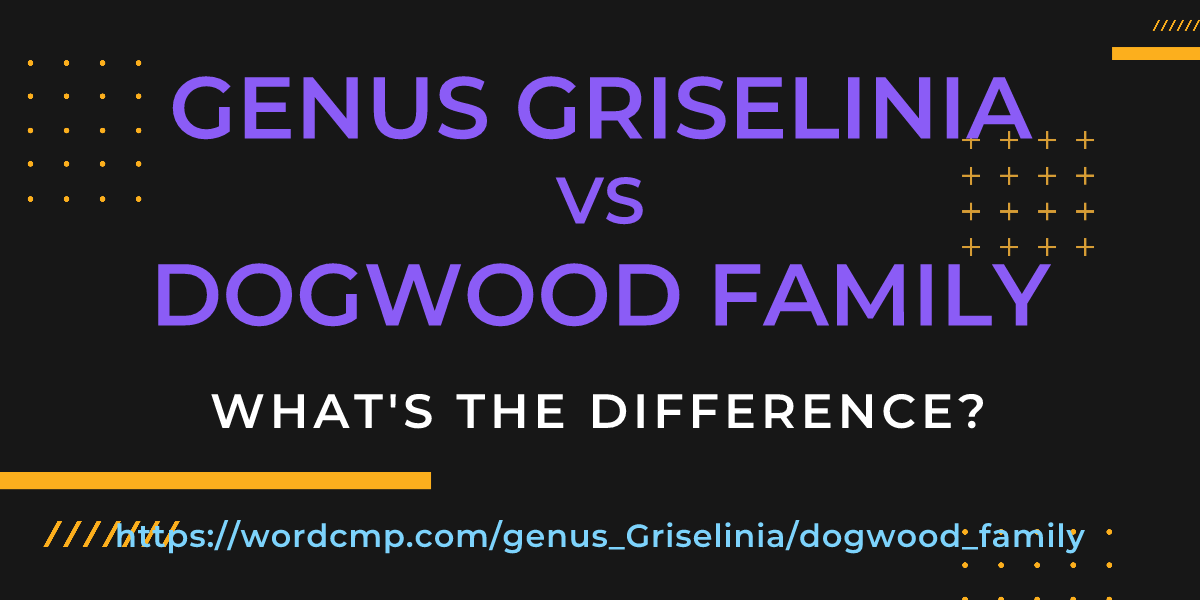Difference between genus Griselinia and dogwood family
