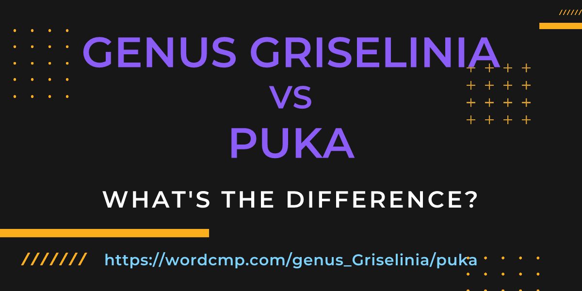 Difference between genus Griselinia and puka