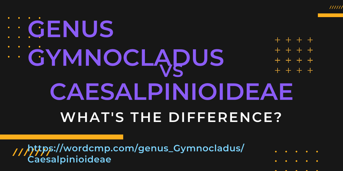 Difference between genus Gymnocladus and Caesalpinioideae
