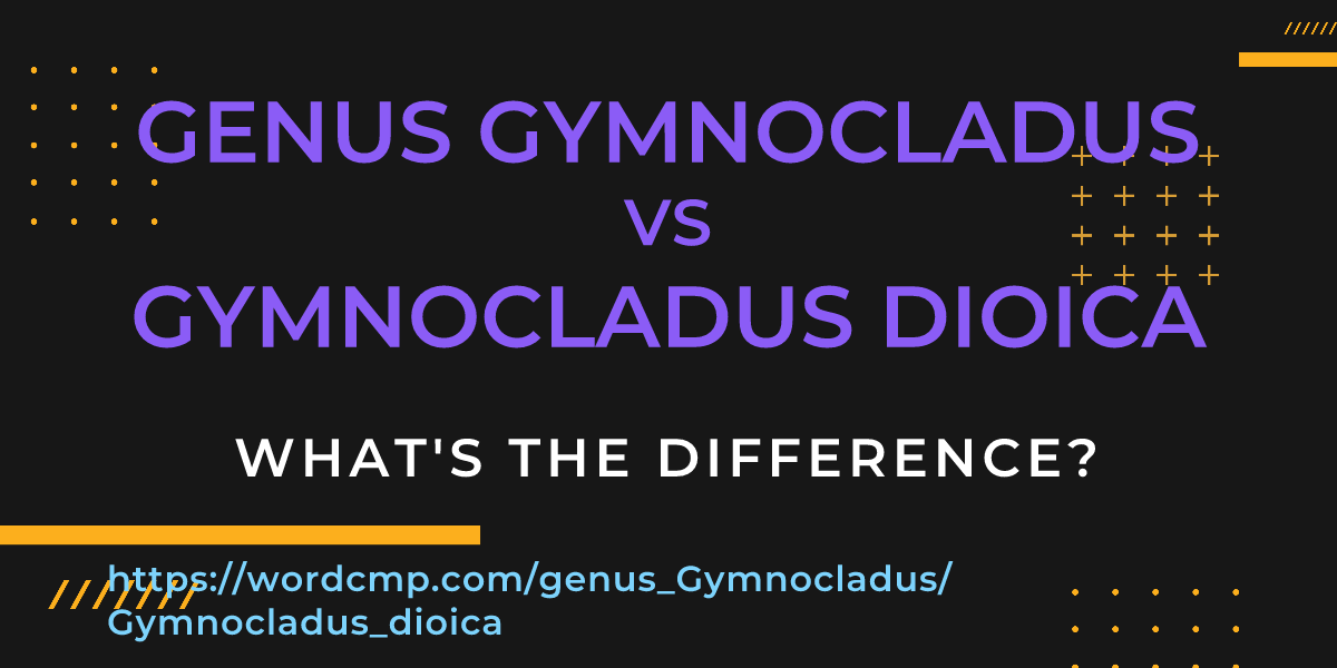 Difference between genus Gymnocladus and Gymnocladus dioica