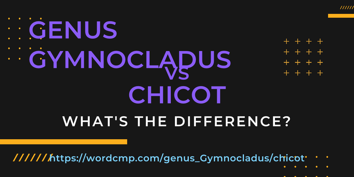 Difference between genus Gymnocladus and chicot