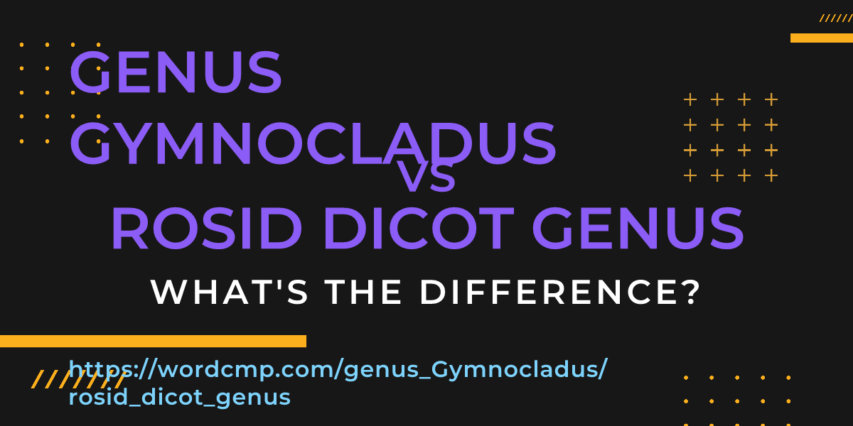 Difference between genus Gymnocladus and rosid dicot genus
