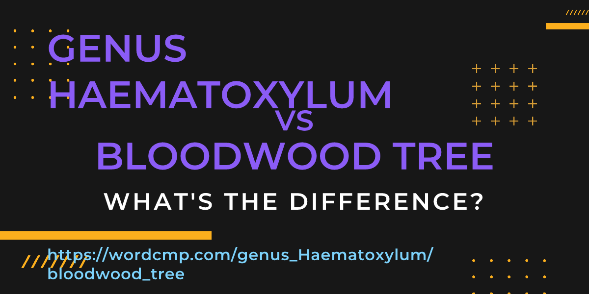 Difference between genus Haematoxylum and bloodwood tree