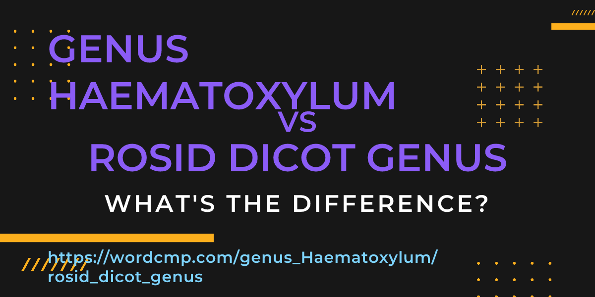 Difference between genus Haematoxylum and rosid dicot genus