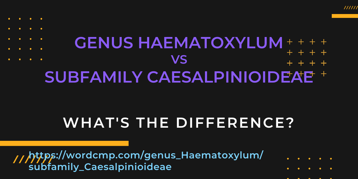 Difference between genus Haematoxylum and subfamily Caesalpinioideae