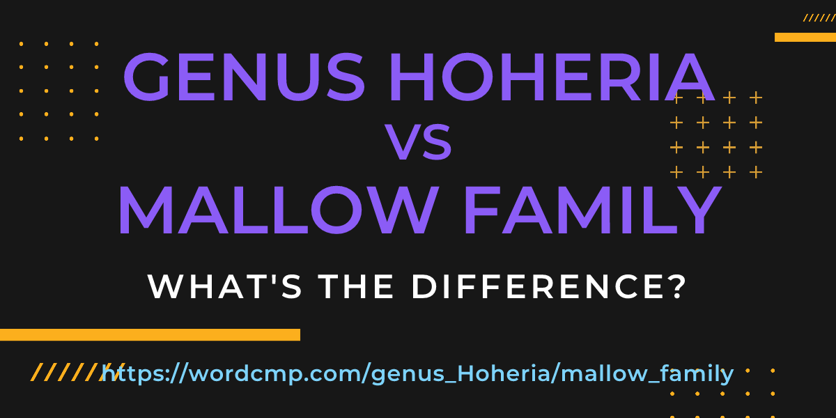 Difference between genus Hoheria and mallow family