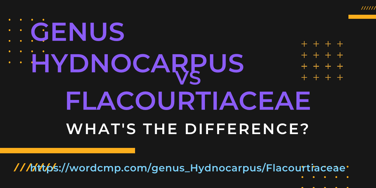 Difference between genus Hydnocarpus and Flacourtiaceae