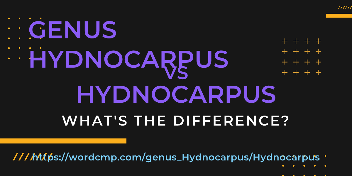 Difference between genus Hydnocarpus and Hydnocarpus