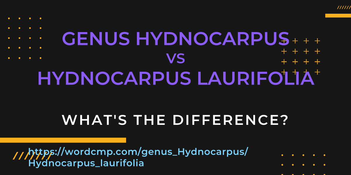 Difference between genus Hydnocarpus and Hydnocarpus laurifolia