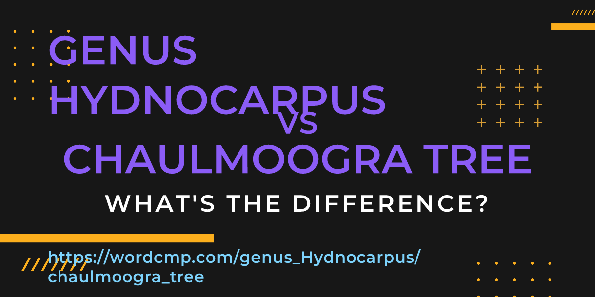 Difference between genus Hydnocarpus and chaulmoogra tree
