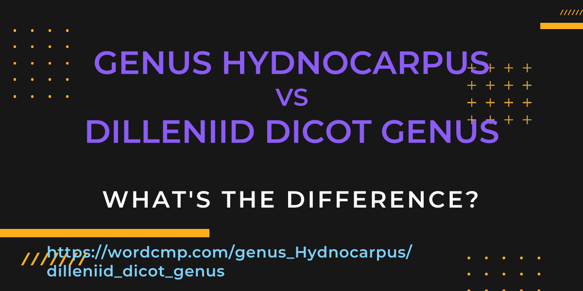 Difference between genus Hydnocarpus and dilleniid dicot genus