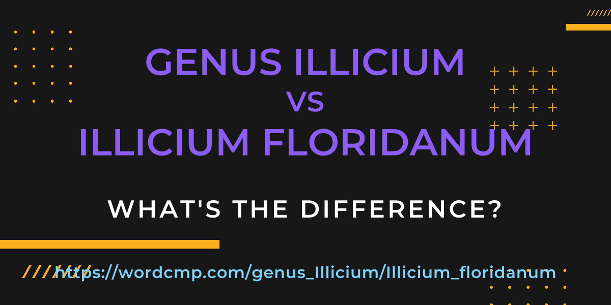 Difference between genus Illicium and Illicium floridanum