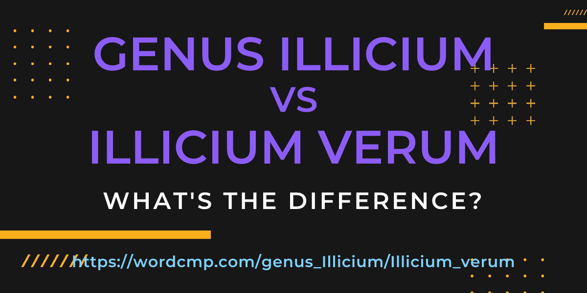Difference between genus Illicium and Illicium verum