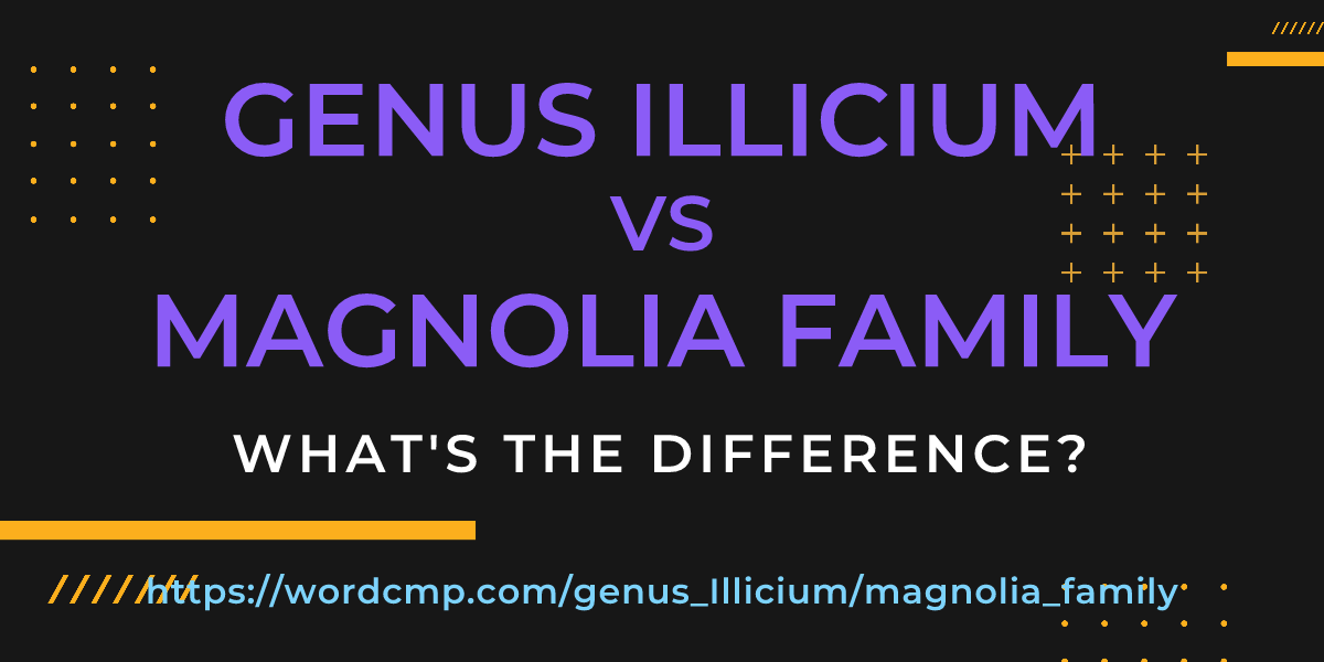 Difference between genus Illicium and magnolia family