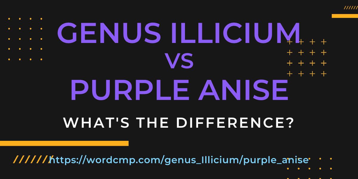 Difference between genus Illicium and purple anise