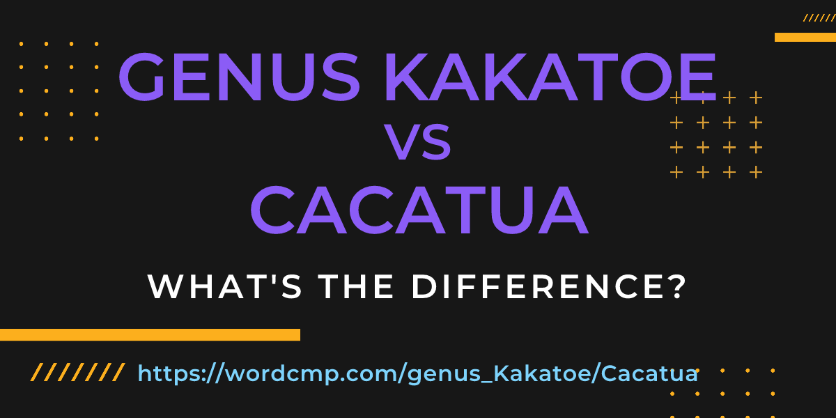 Difference between genus Kakatoe and Cacatua