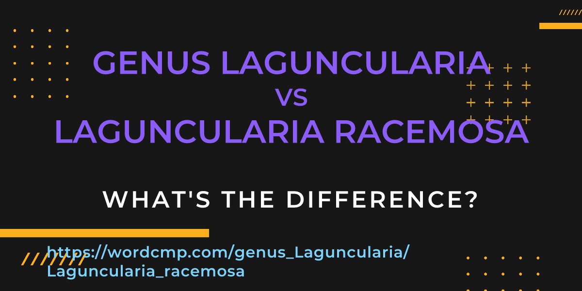 Difference between genus Laguncularia and Laguncularia racemosa