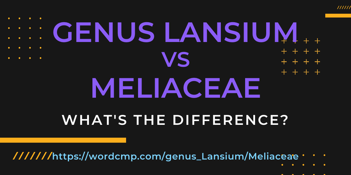 Difference between genus Lansium and Meliaceae