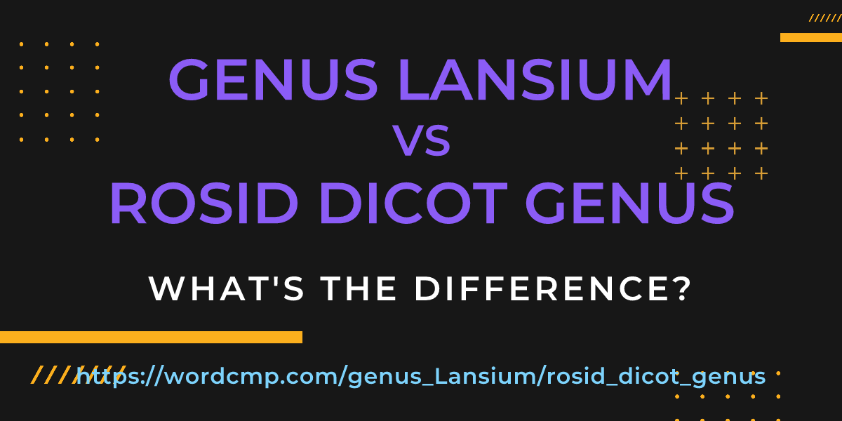 Difference between genus Lansium and rosid dicot genus