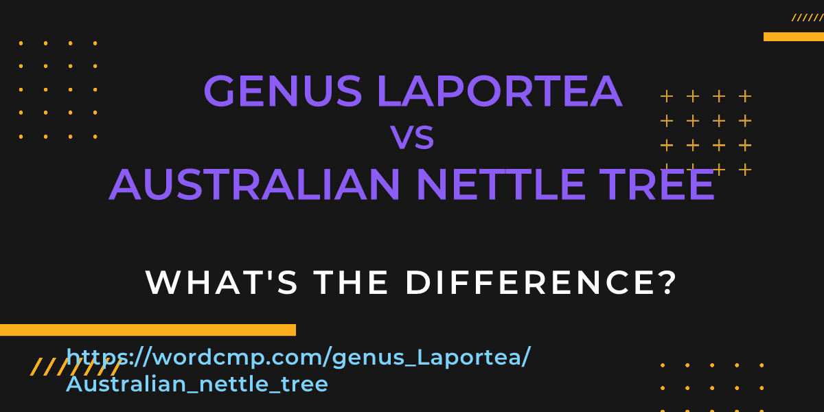 Difference between genus Laportea and Australian nettle tree