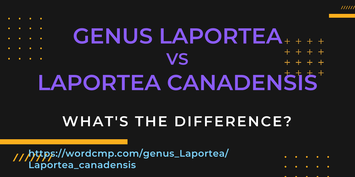 Difference between genus Laportea and Laportea canadensis
