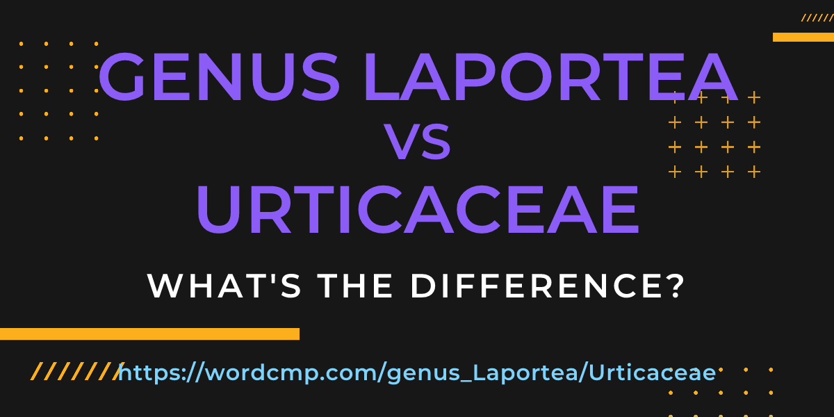 Difference between genus Laportea and Urticaceae