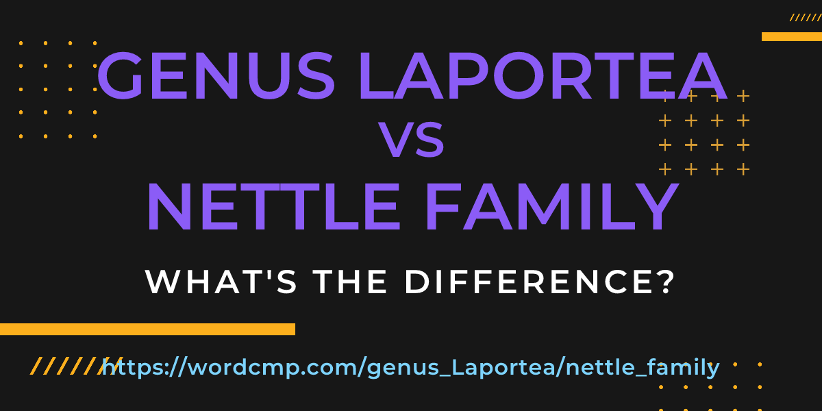 Difference between genus Laportea and nettle family