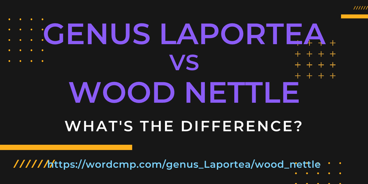 Difference between genus Laportea and wood nettle