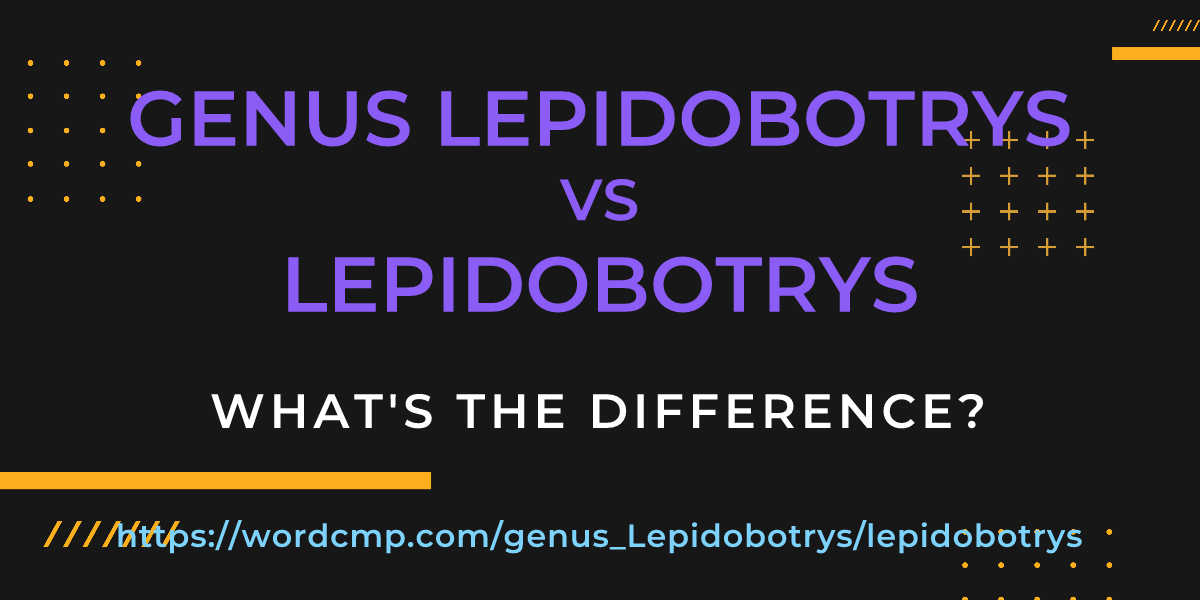 Difference between genus Lepidobotrys and lepidobotrys