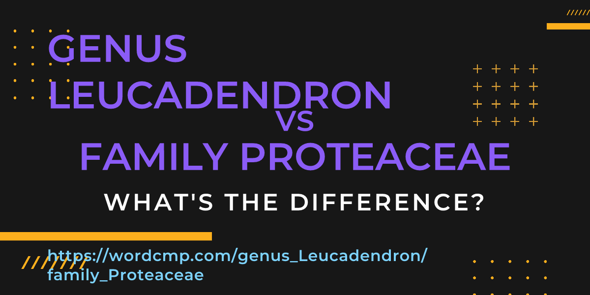 Difference between genus Leucadendron and family Proteaceae