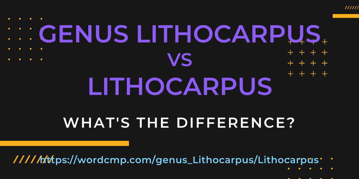 Difference between genus Lithocarpus and Lithocarpus