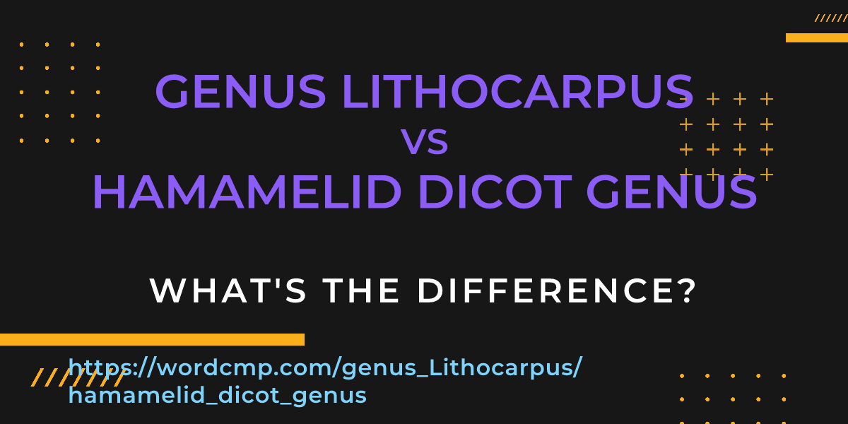 Difference between genus Lithocarpus and hamamelid dicot genus